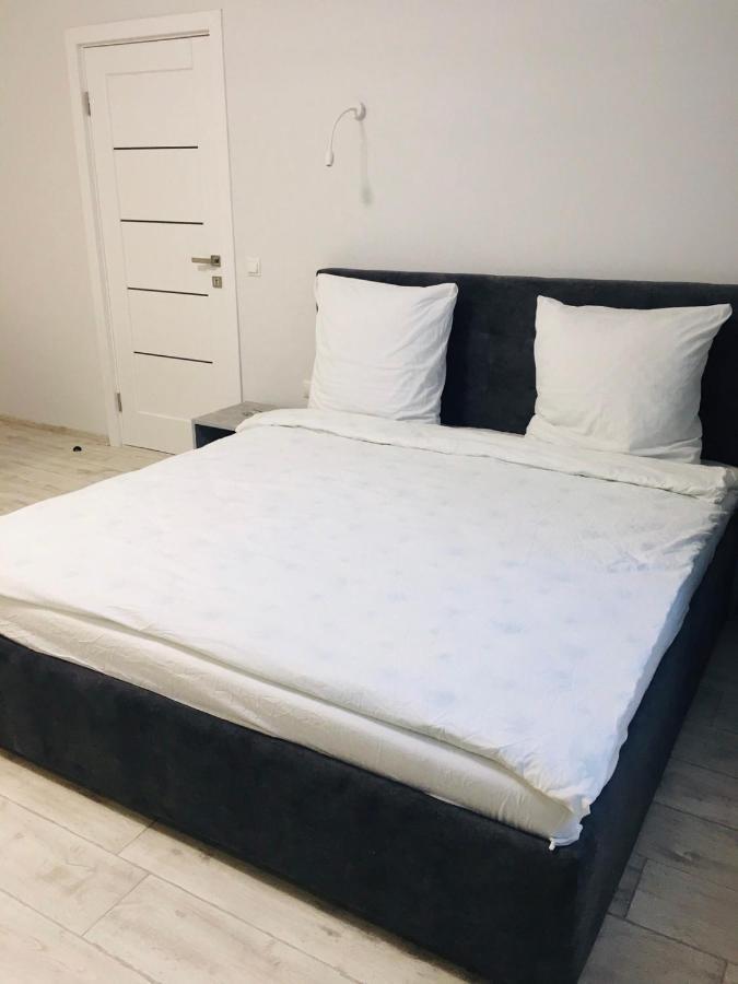 Apartment Edelweiss Użhorod Zewnętrze zdjęcie